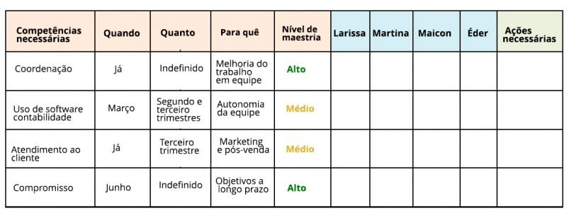 Matriz De Compet Ncias Fases E Como Us La Em Sua Empresa