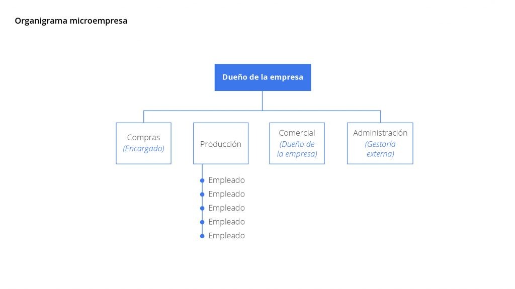 Organigrama Microempresa 9690